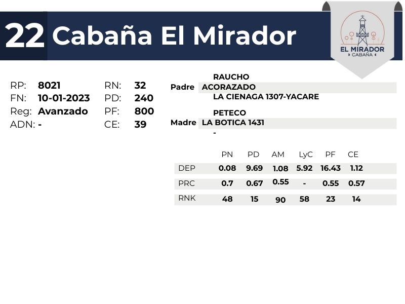 22 EL MIRADOR 8021 - 9 SEPTIEMBRE FORMOSA