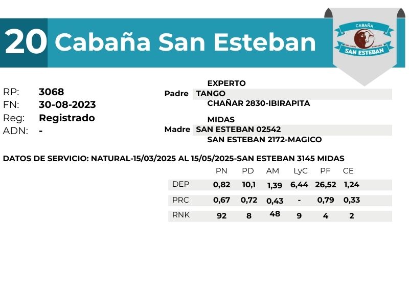 20 SAN ESTEBAN 3068