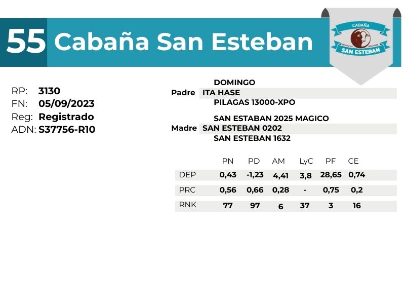 55 SAN ESTEBAN 3130
