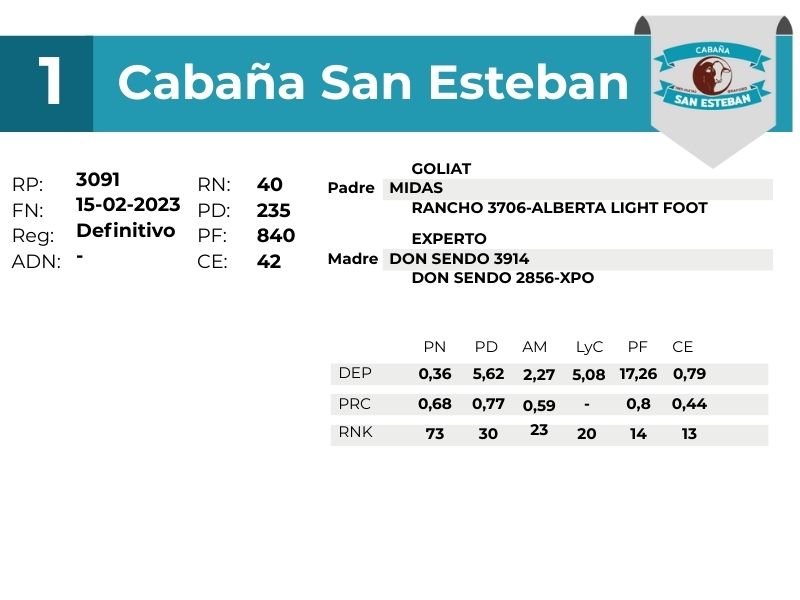 1 SAN ESTEBAN 3091