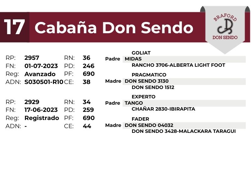 17 DON SENDO 2957 2929