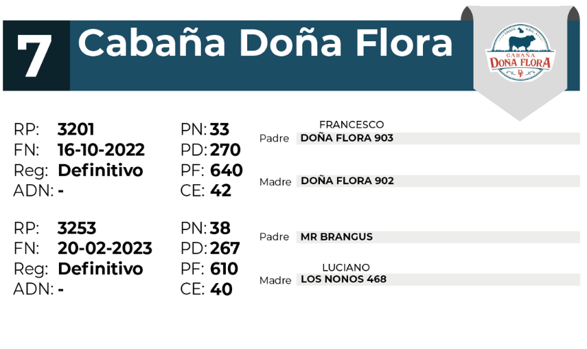 7 DOÑA FLORA 3201 3253 - 27 AGOSTO LAS BREÑAS