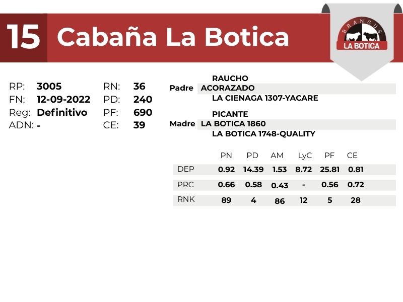 15 LA BOTICA 3005 - 9 SEPTIEMBRE FORMOSA