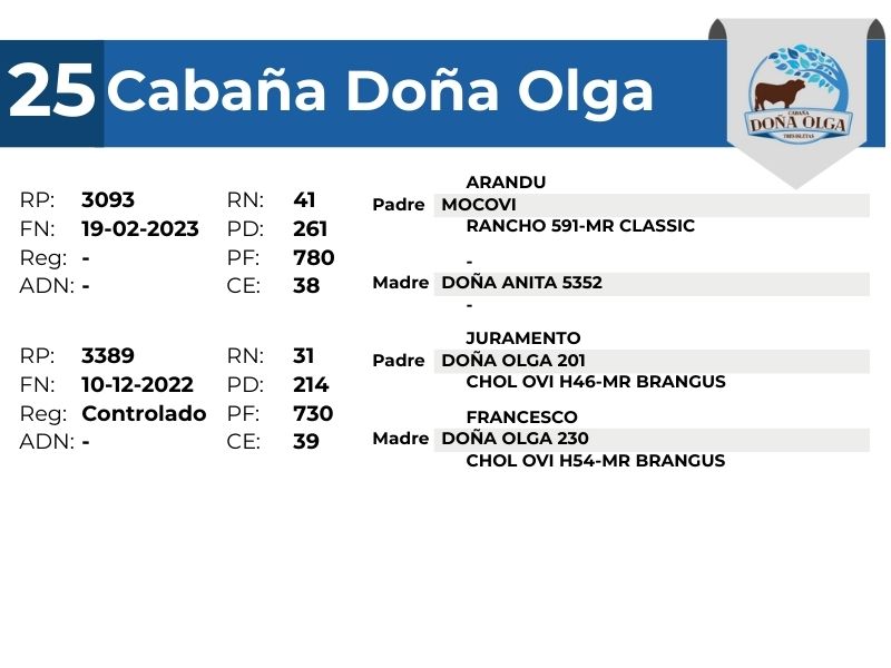 25 DOÑA OLGA 3093 3389 - 9 SEPTIEMBRE FORMOSA