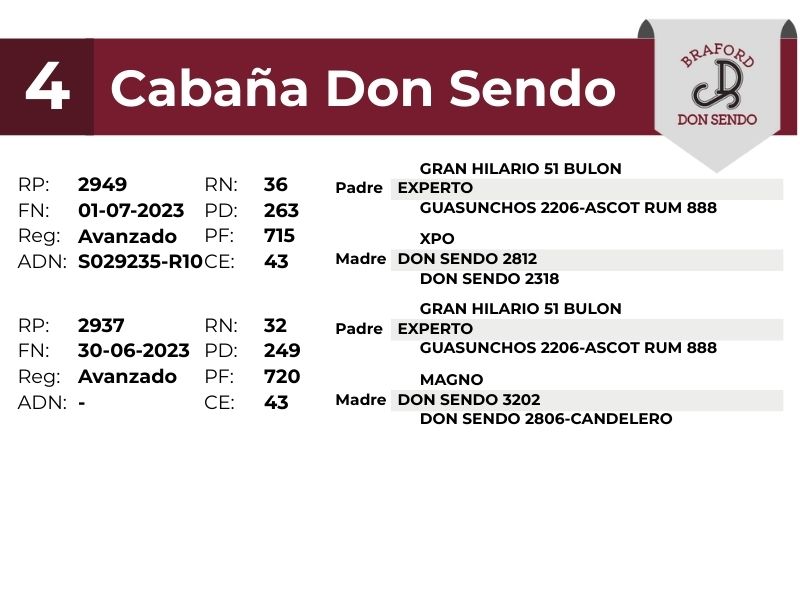 4 DON SENDO 2949 2937