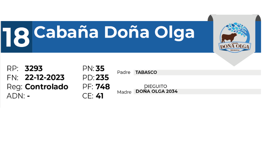 18 DOÑA OLGA 3293 - 27 AGOSTO LAS BREÑAS