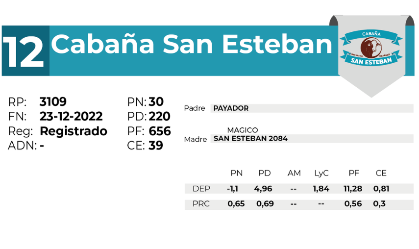 12 SAN ESTEBAN 3109 - 27 AGOSTO LAS BREÑAS