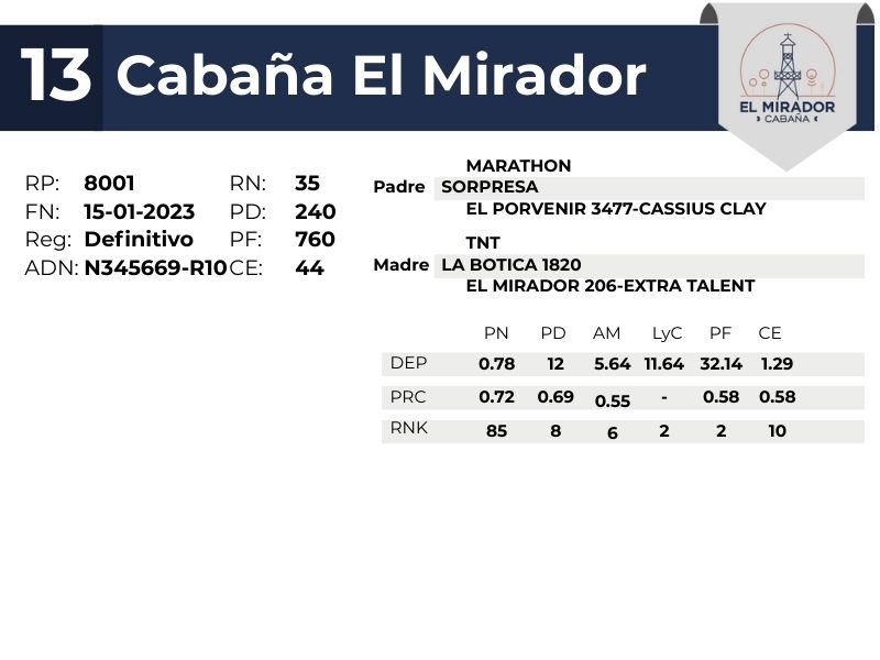 13 EL MIRADOR 8001