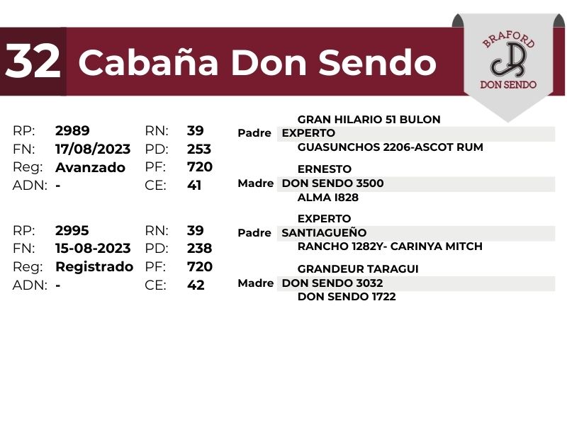 32 DON SENDO 2989 2995