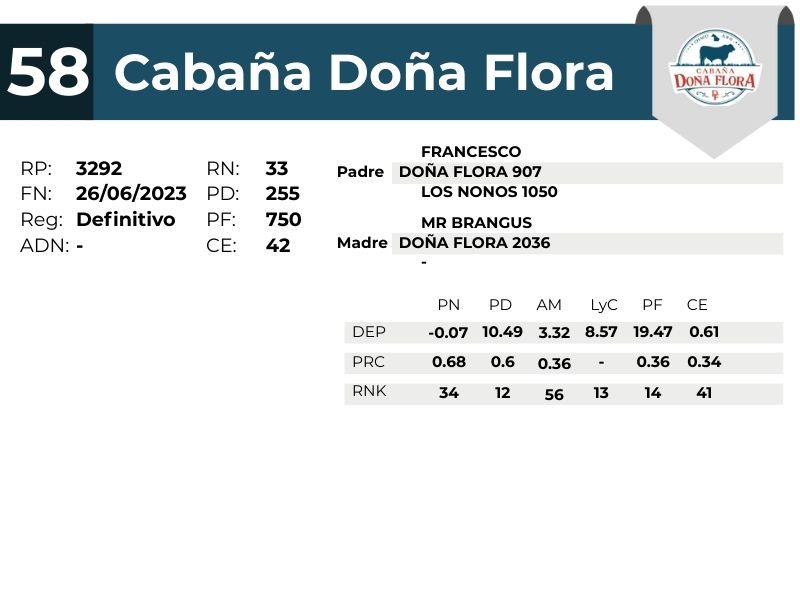 58 DOÑA FLORA 3292