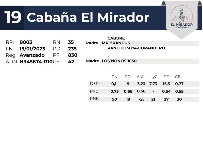 19 EL MIRADOR 8003