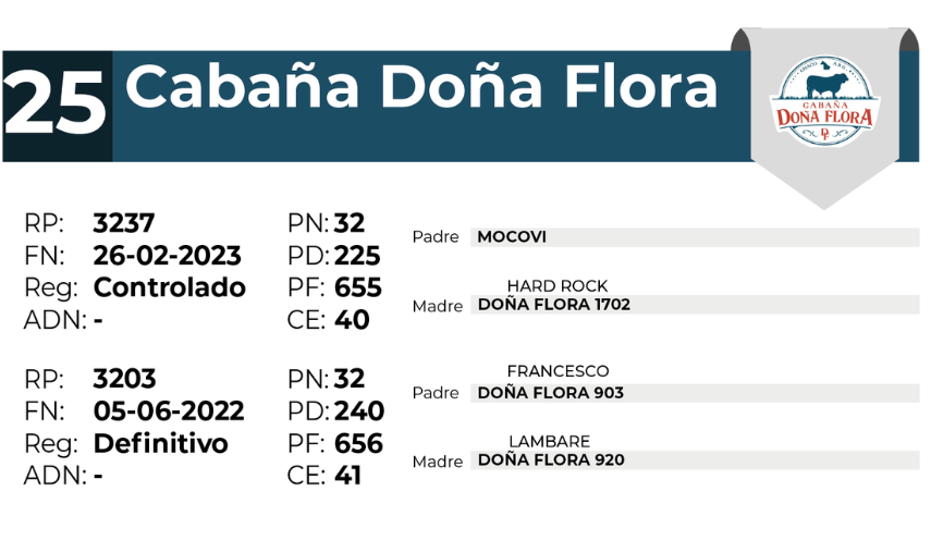 25 DOÑA FLORA 3237 3203 - 27 AGOSTO LAS BREÑAS