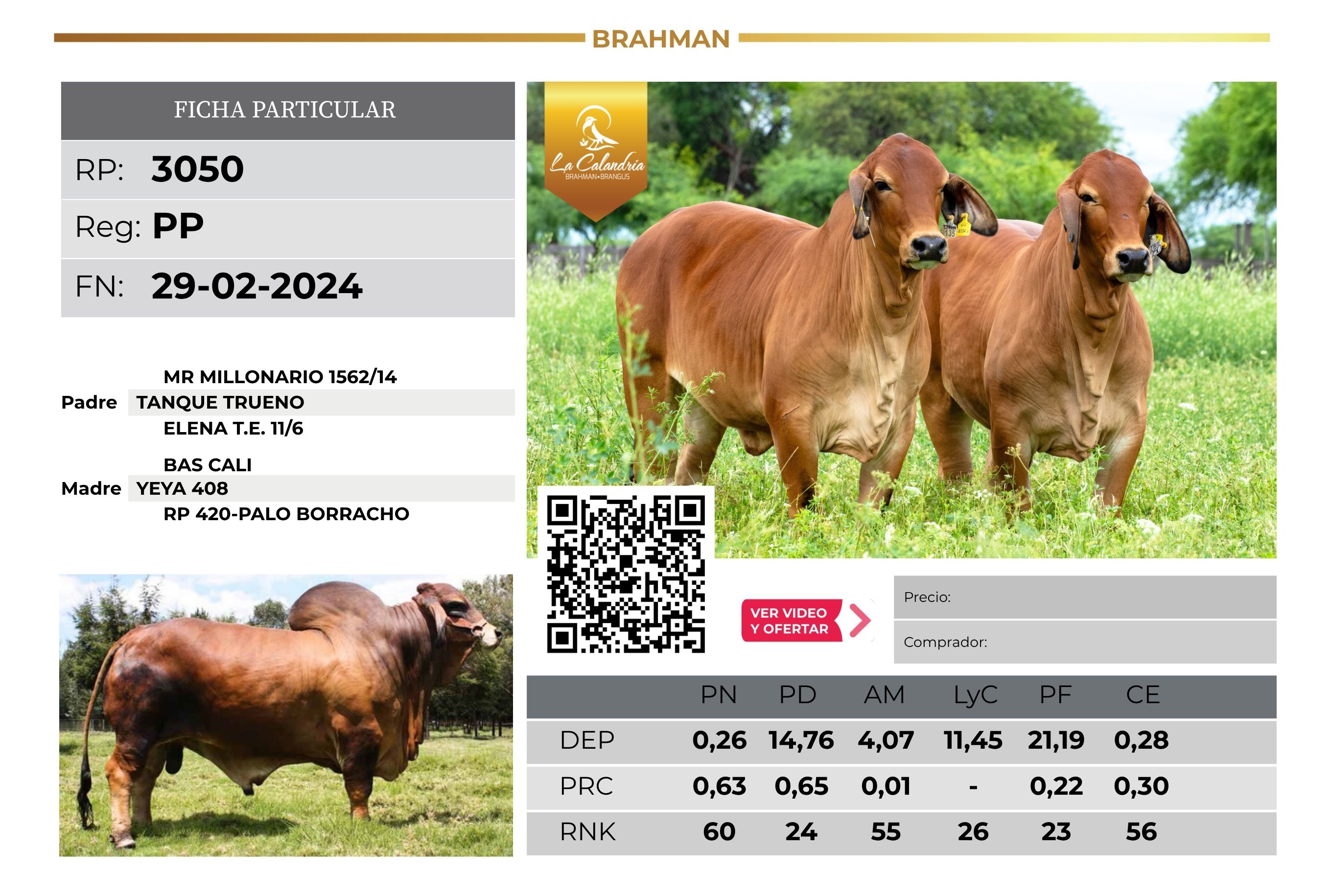 LA CALANDRIA 3050 - TRES ISLETAS