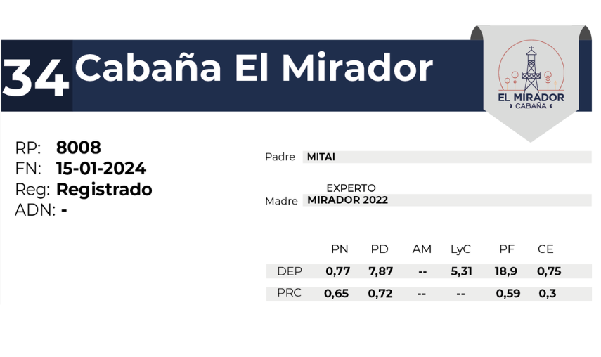 34 EL MIRADOR 8008 - 27 AGOSTO LAS BREÑAS