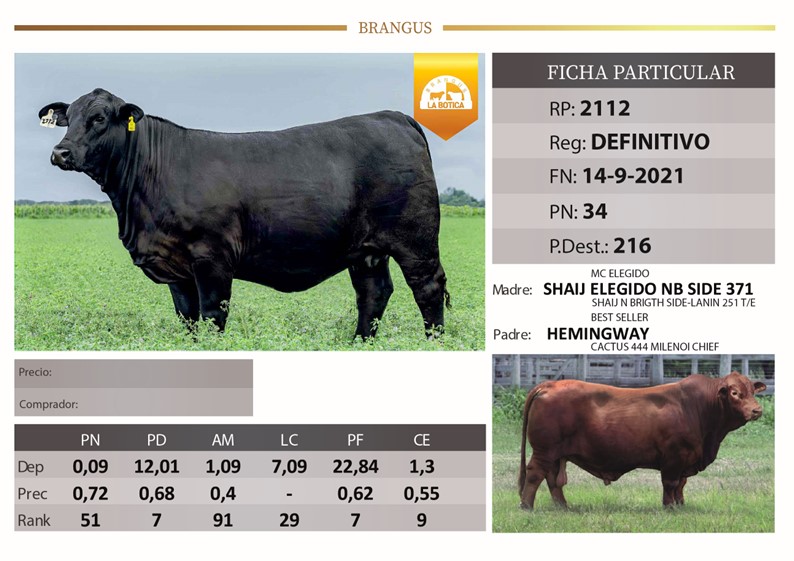 RP2112 LA BOTICA LA TIGRA