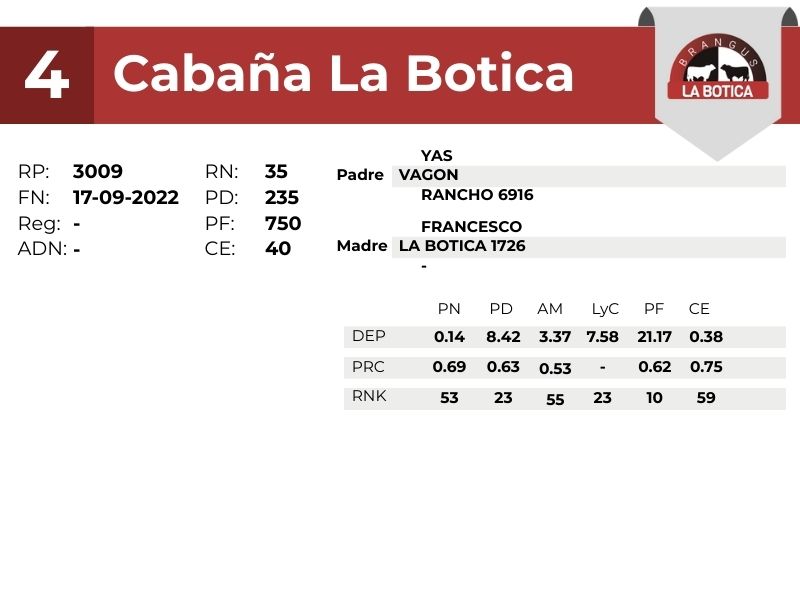 4 LA BOTICA 3009 - 9 SEPTIEMBRE FORMOSA