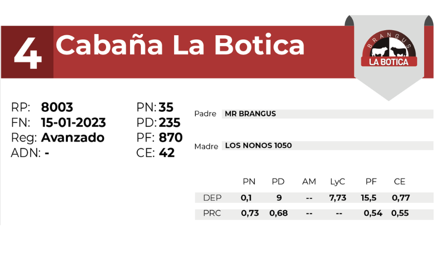 4 EL MIRADOR BRANGUS 8003 - 27 AGOSTO LAS BREÑAS