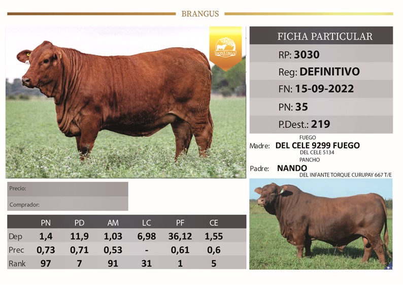 RP3030 DOÑA OLGA LA TIGRA