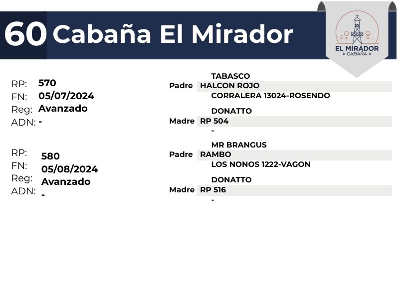 60 EL MIRADOR 570 580