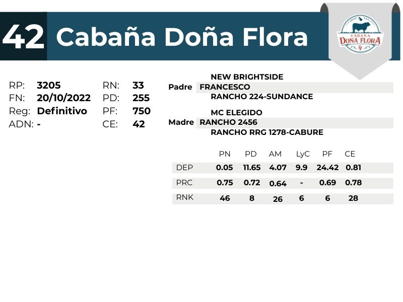 42 DOÑA FLORA 3205