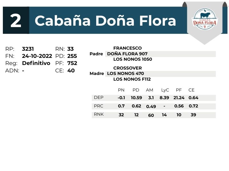 2 DOÑA FLORA 3231 - 9 SEPTIEMBRE FORMOSA