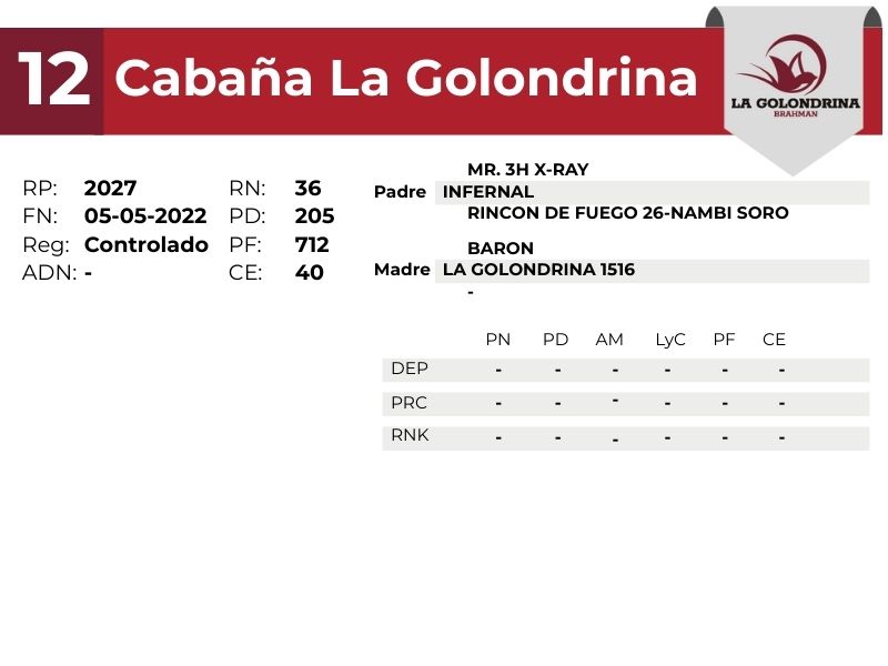 12 LA GOLONDRINA 2027 - 9 SEPTIEMBRE FORMOSA