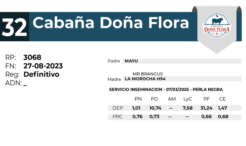 32 DOÑA OLGA 3068 - 27 AGOSTO LAS BREÑAS