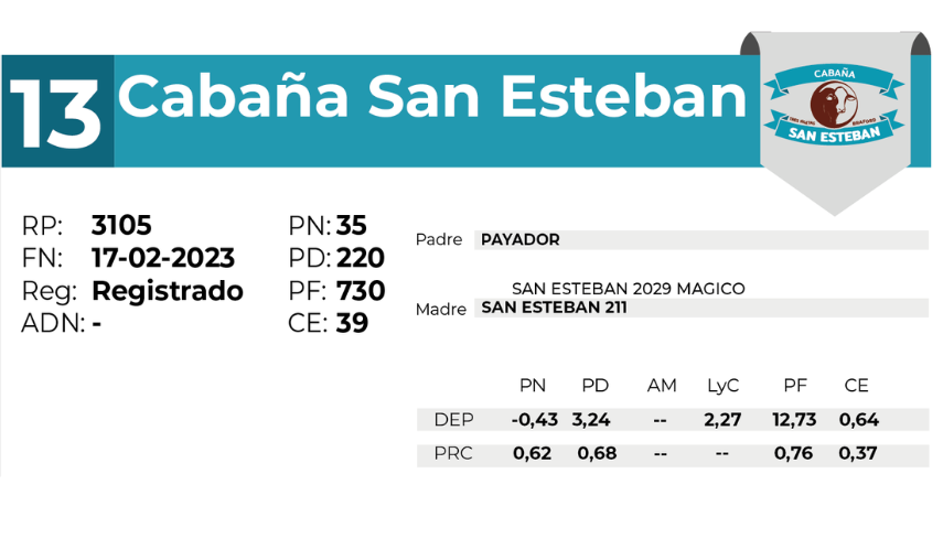 13 SAN ESTEBAN 3105 - 27 AGOSTO LAS BREÑAS