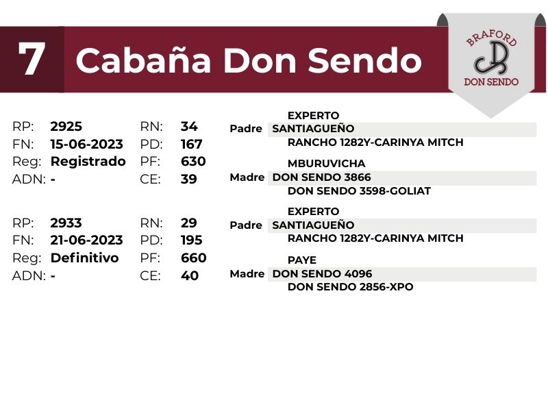 7 DON SENDO 2933 2925 - 9 SEPTIEMBRE FORMOSA