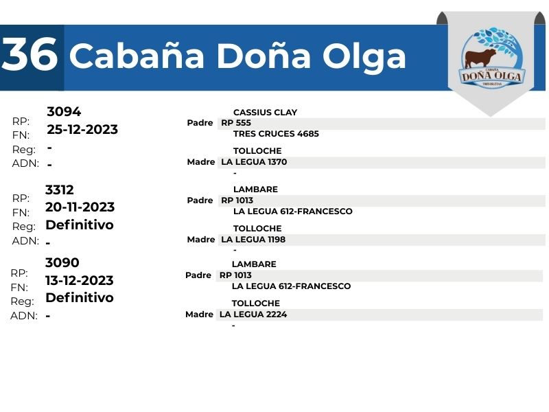 36 DOÑA OLGA 3312 3090 3094 - 9 SEPTIEMBRE FORMOSA