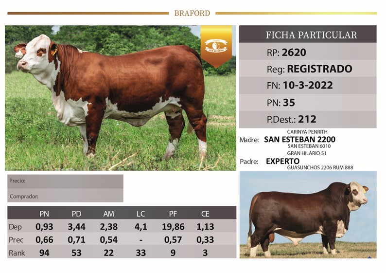 RP2620 SAN ESTEBAN LA TIGRA