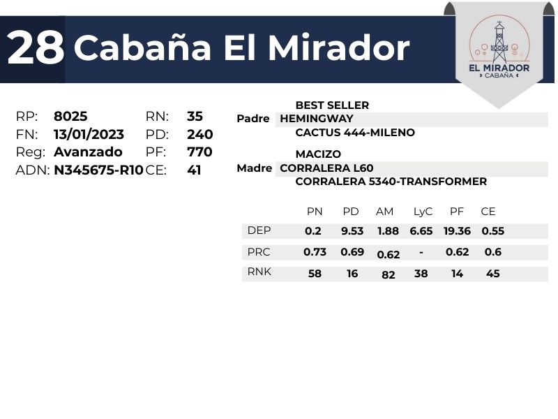 28 EL MIRADOR 8025
