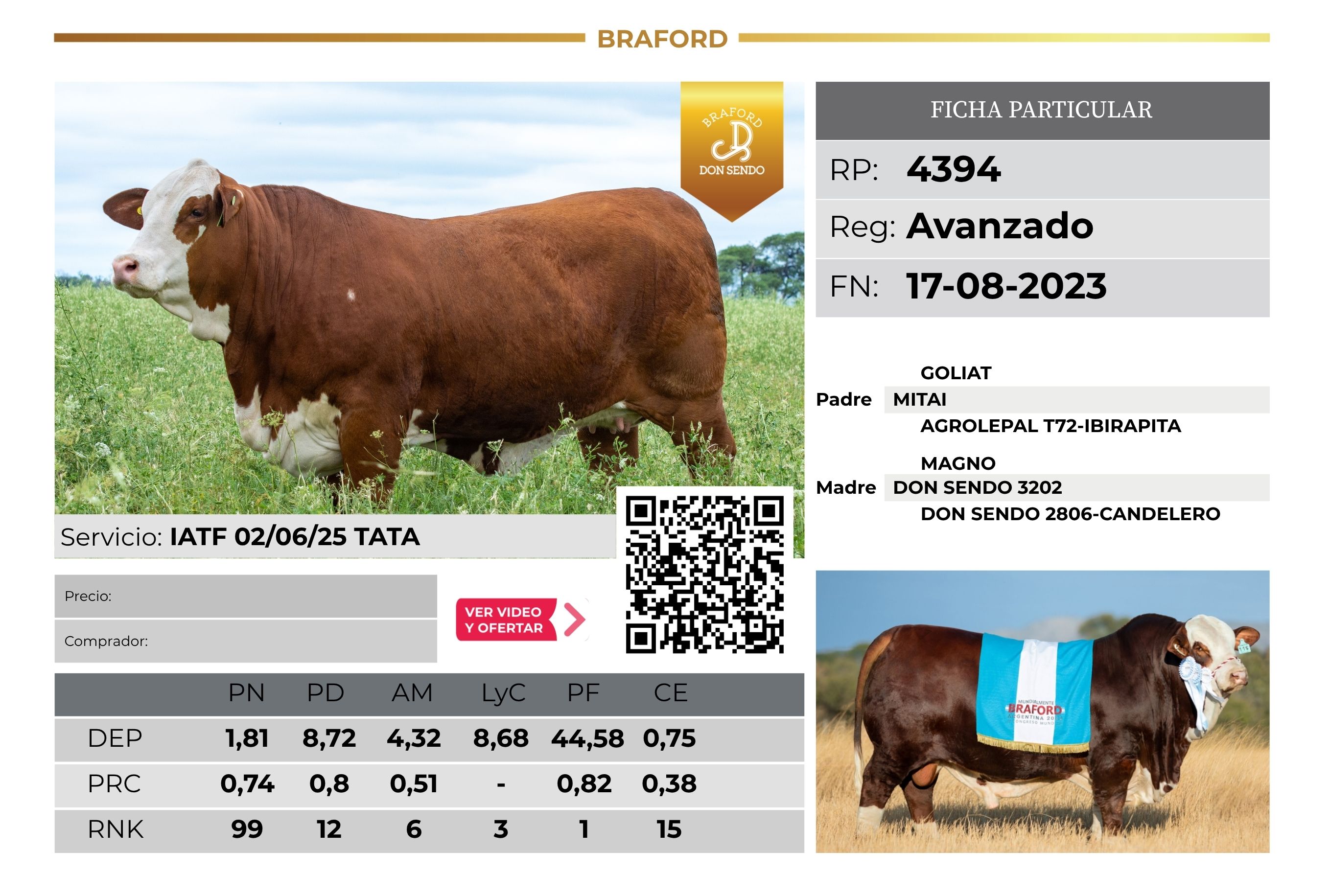 DON SENDO 4394 - TRES ISLETAS