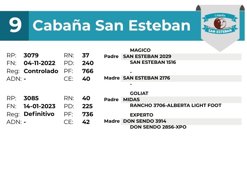 9 SAN ESTEBAN 3079 3085 - 9 SEPTIEMBRE FORMOSA