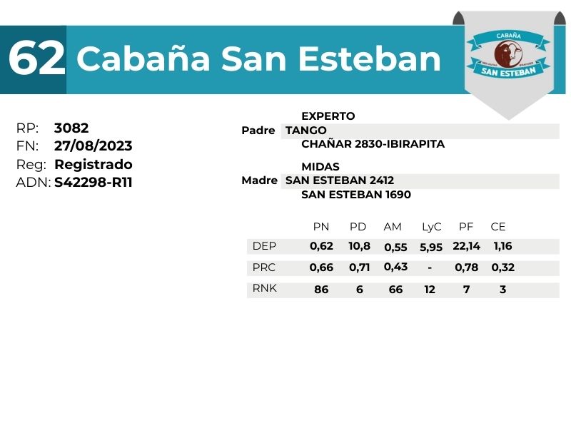 62 SAN ESTEBAN 3082
