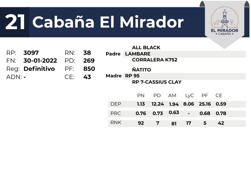 21 EL MIRADOR 3097 - 9 SEPTIEMBRE FORMOSA