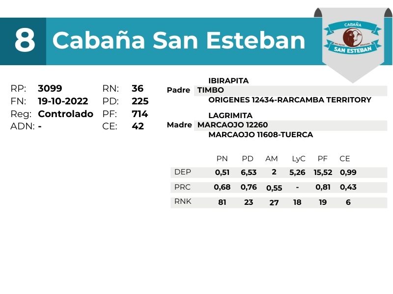 8 SAN ESTEBAN 3099 - 9 SEPTIEMBRE FORMOSA